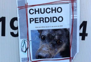 Chucho vuelven después de ocho años - theborderlinemusic.com